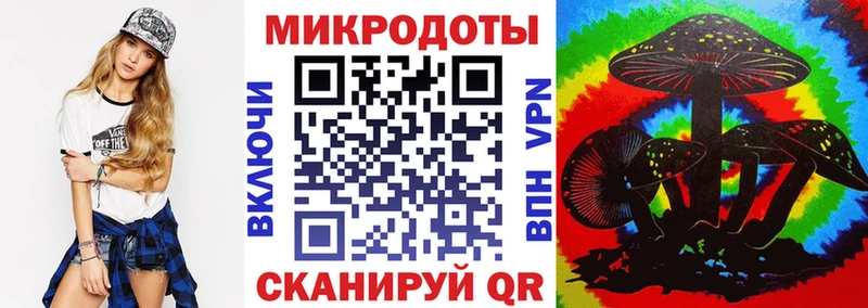 Галлюциногенные грибы Psilocybine cubensis  Богучар 